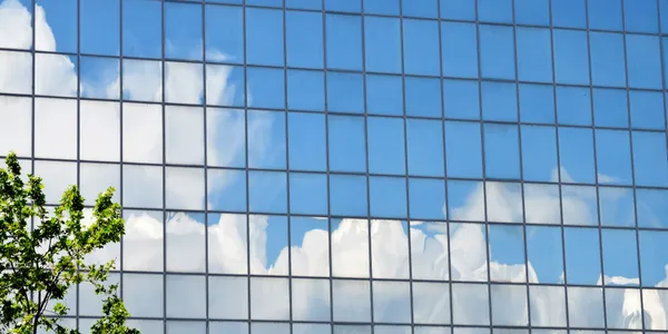 Commercial building windows